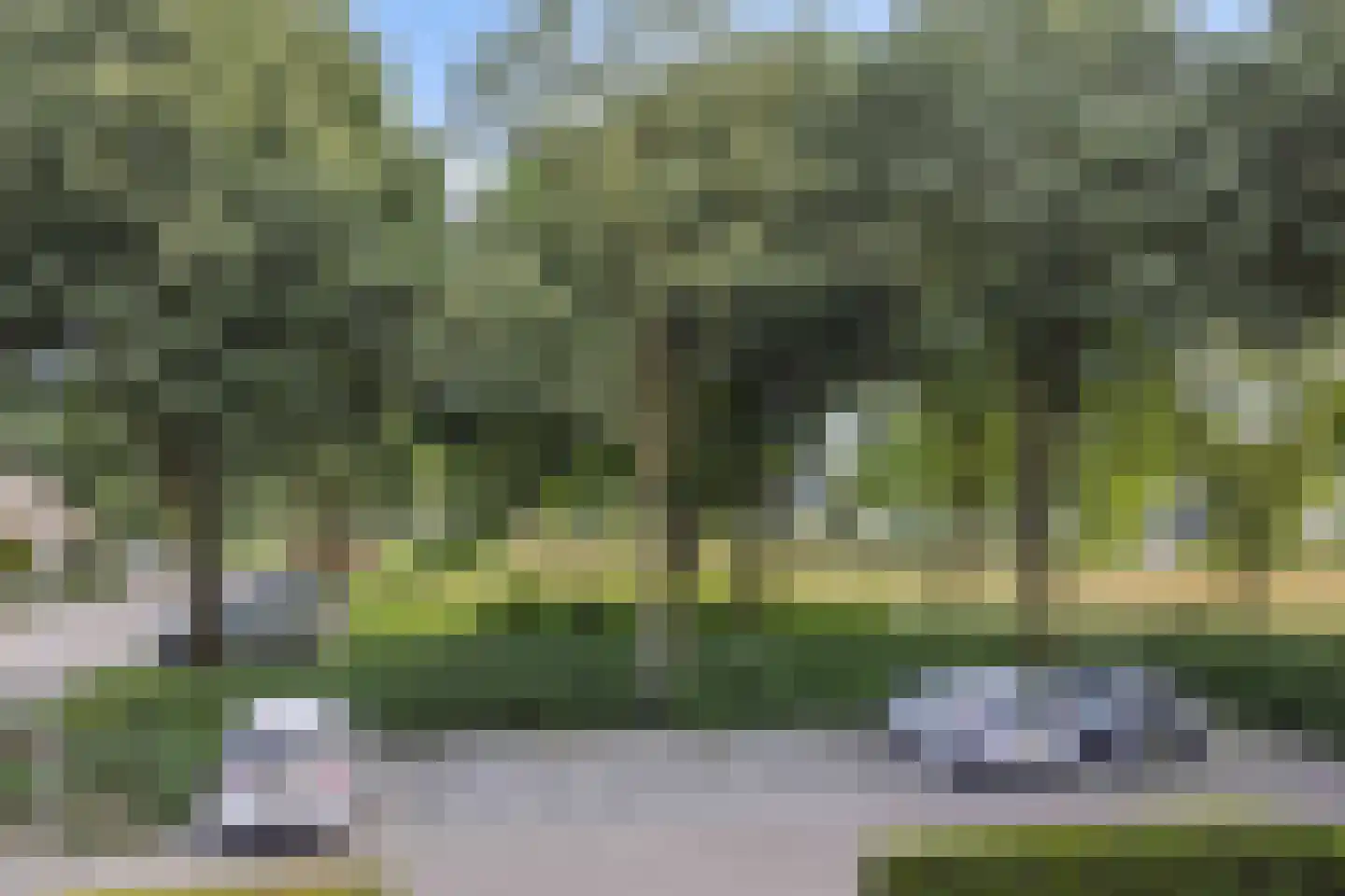 Korhoender 57 Deurne thumbnail 28