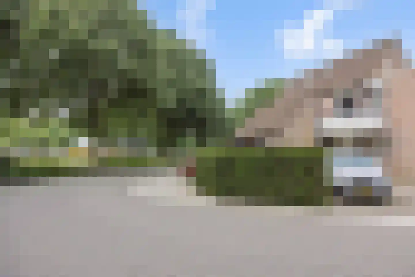 Korhoender 57 Deurne thumbnail 30
