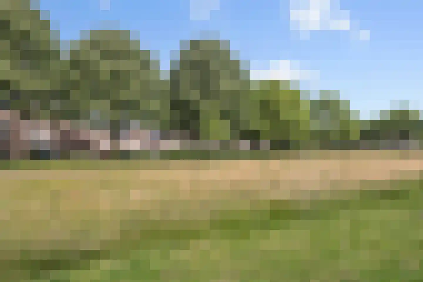 Korhoender 57 Deurne thumbnail 32
