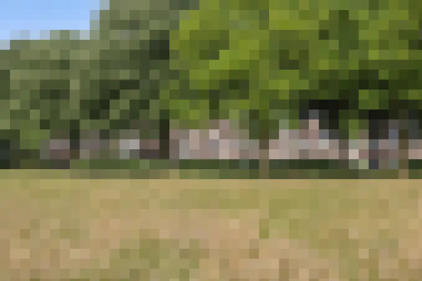 Korhoender 57 Deurne thumbnail 33