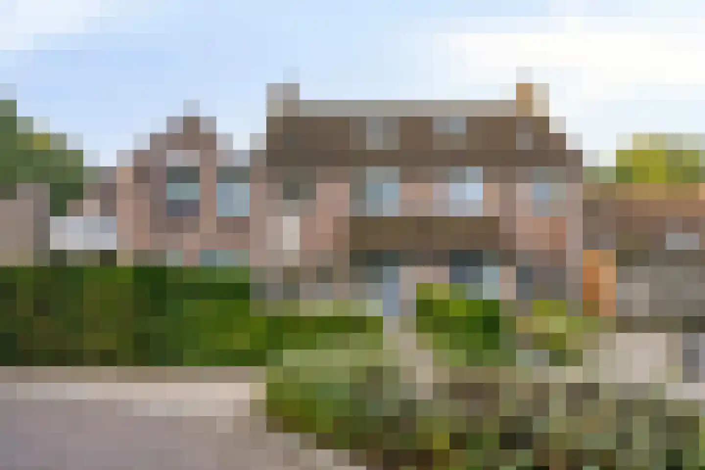 Korhoender 61 Deurne