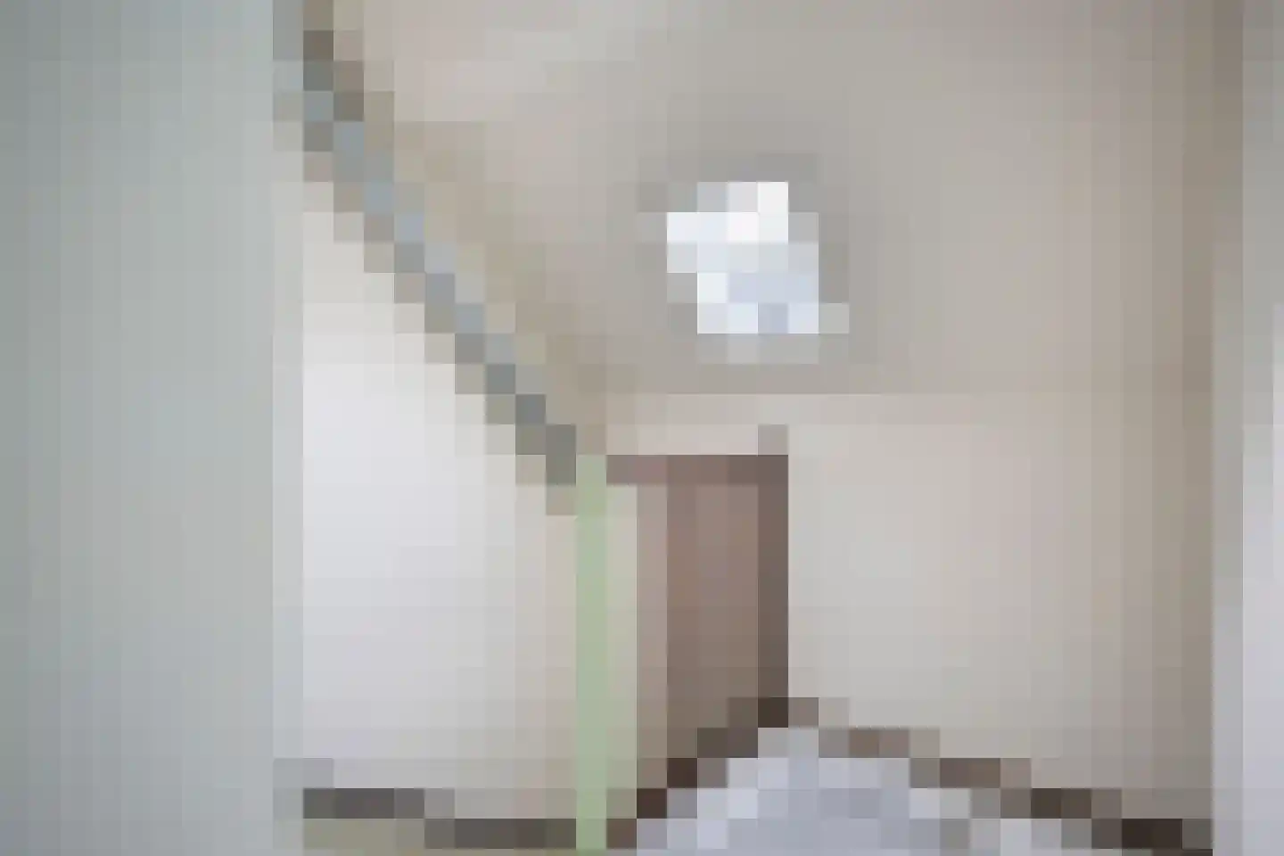 Korhoender 61 Deurne thumbnail 19