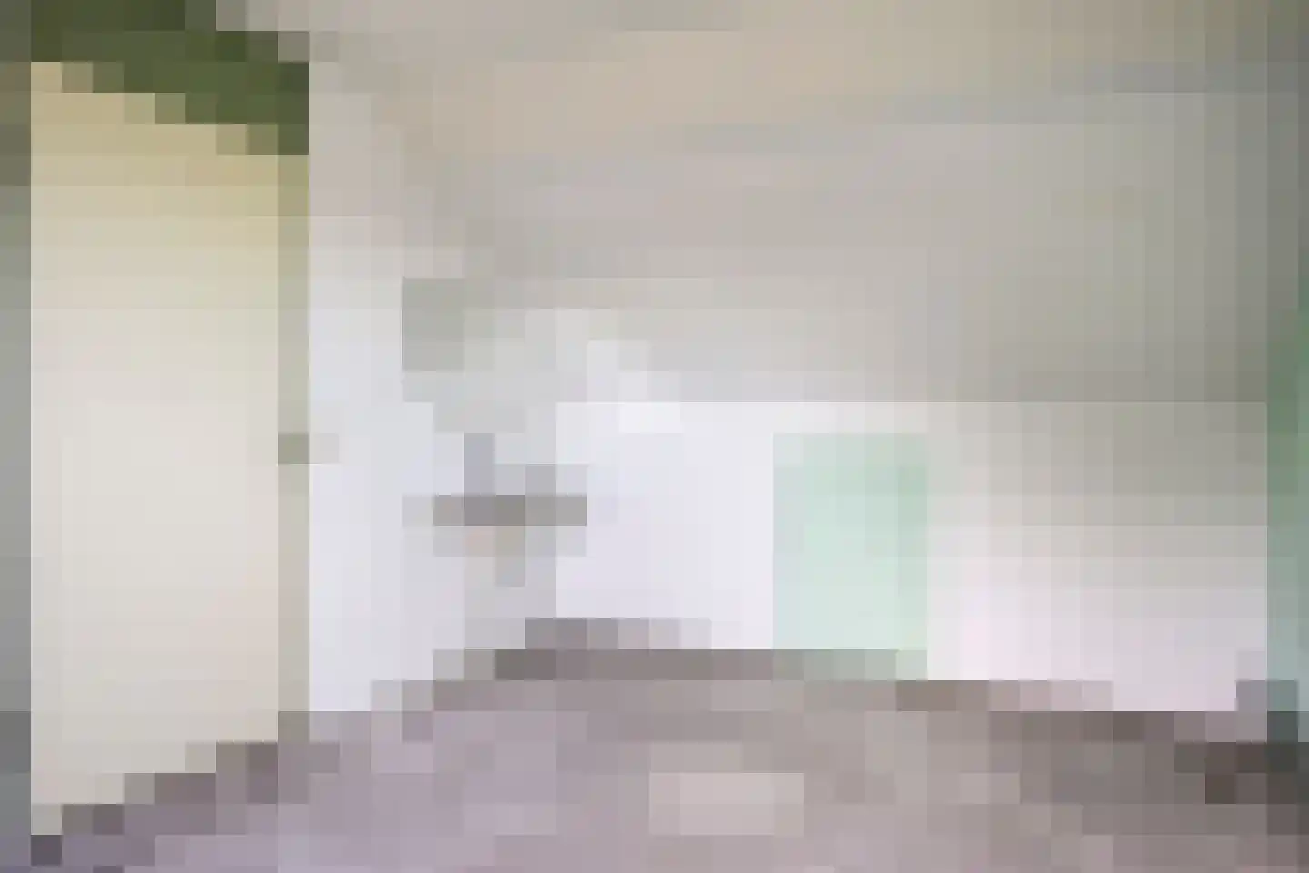 Korhoender 61 Deurne thumbnail 21