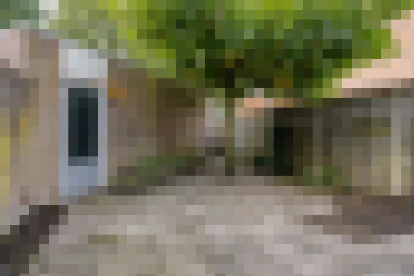 Korhoender 61 Deurne thumbnail 22