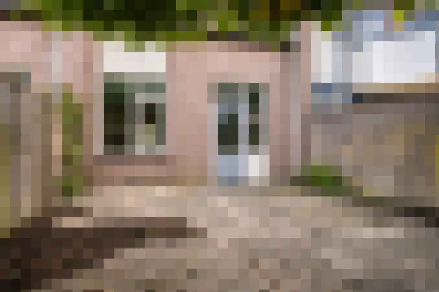 Korhoender 61 Deurne thumbnail 23