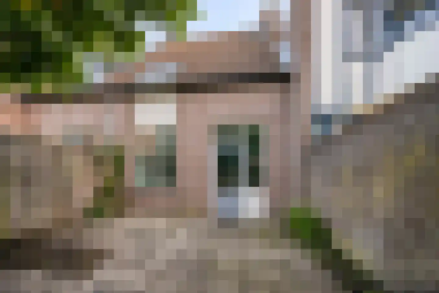 Korhoender 61 Deurne thumbnail 24