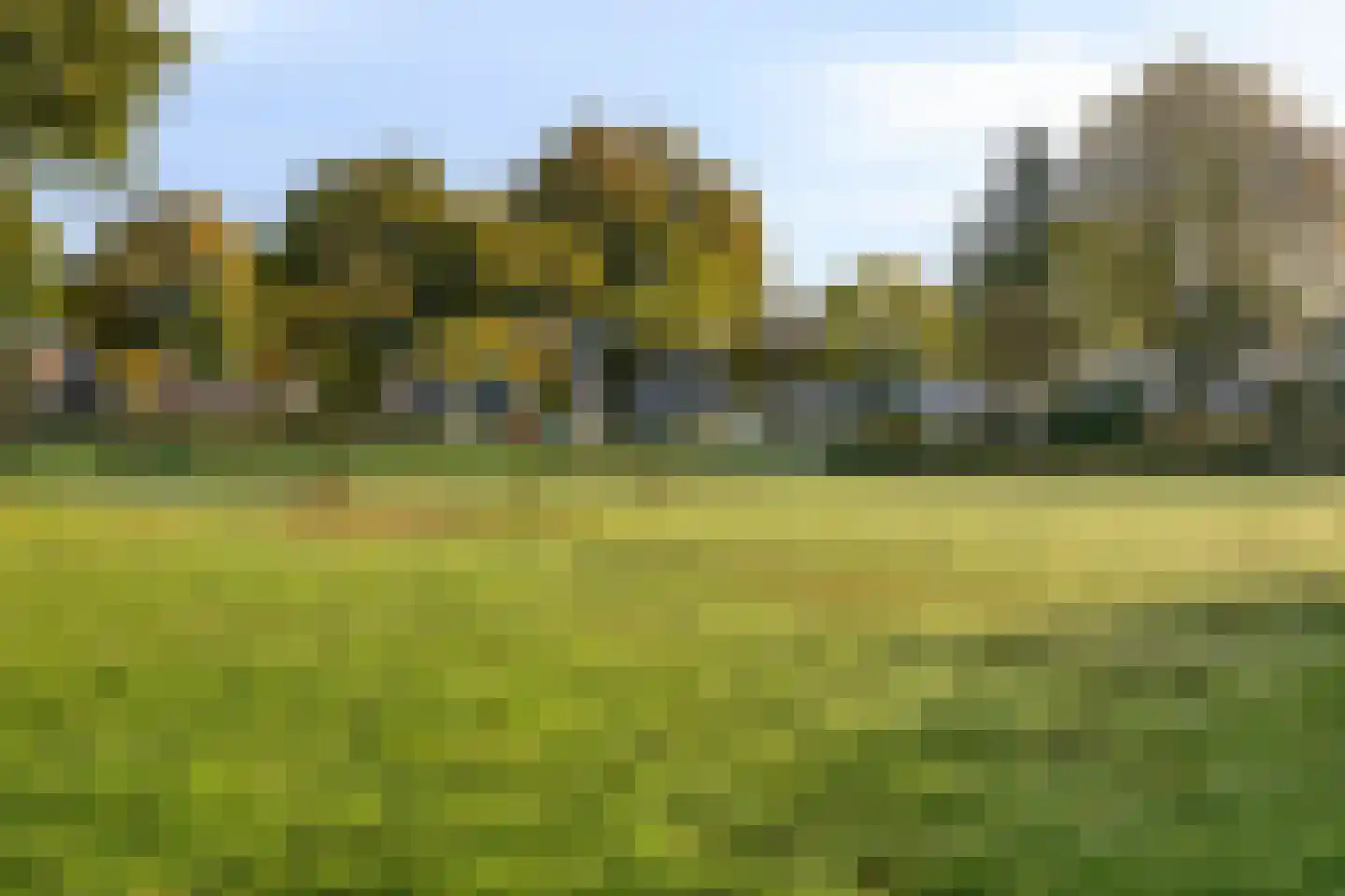Korhoender 61 Deurne thumbnail 26