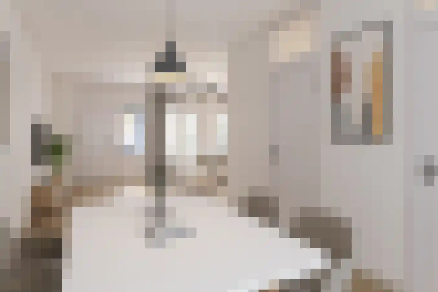 Korhoender 61 Deurne thumbnail 5