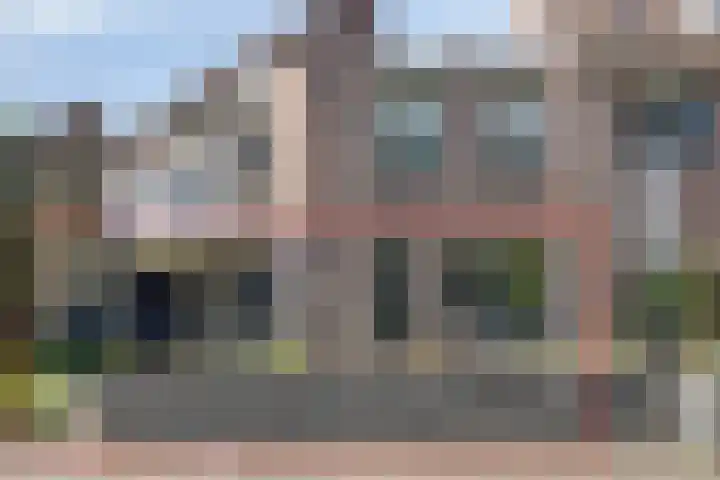 Korhoender 91 in Deurne