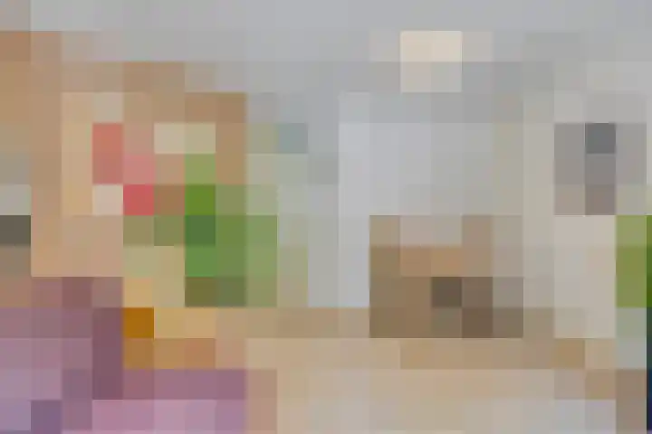 Korhoender 91 Deurne thumbnail 11