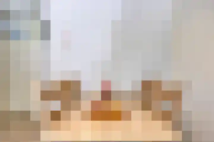 Korhoender 91 Deurne thumbnail 12