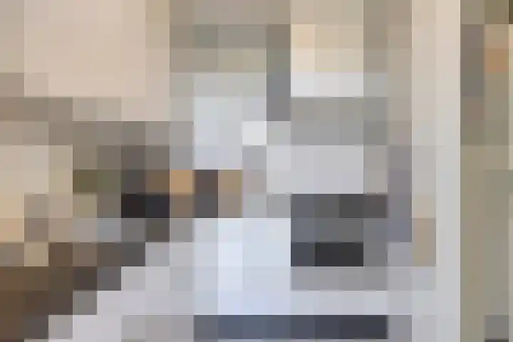 Korhoender 91 Deurne thumbnail 15
