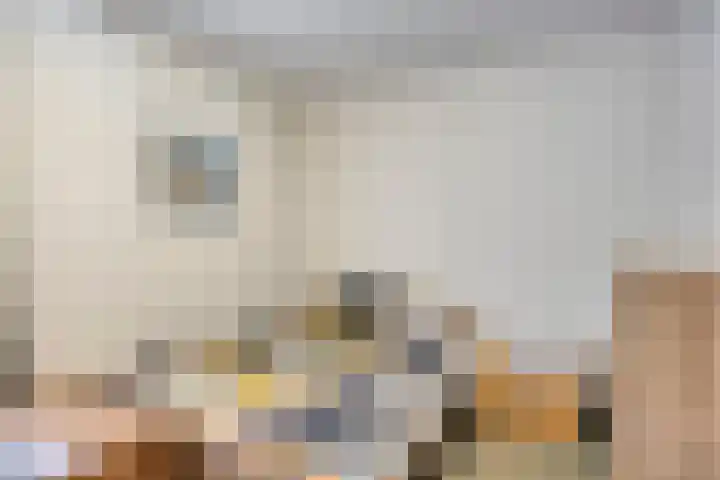 Korhoender 91 Deurne thumbnail 17