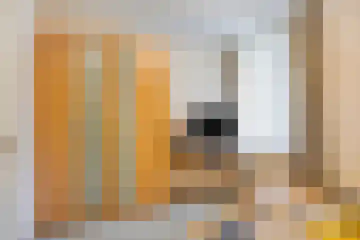 Korhoender 91 Deurne thumbnail 18