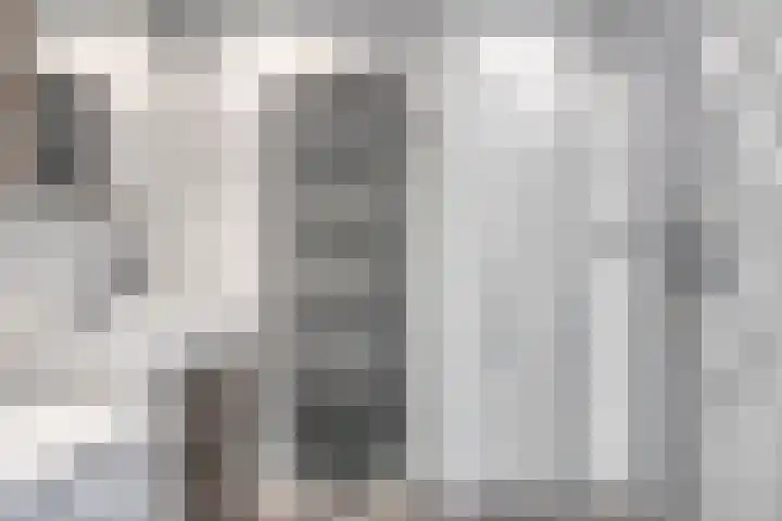 Korhoender 91 Deurne thumbnail 20