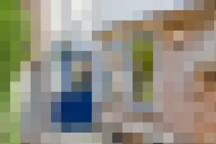 Korhoender 91 Deurne thumbnail 22
