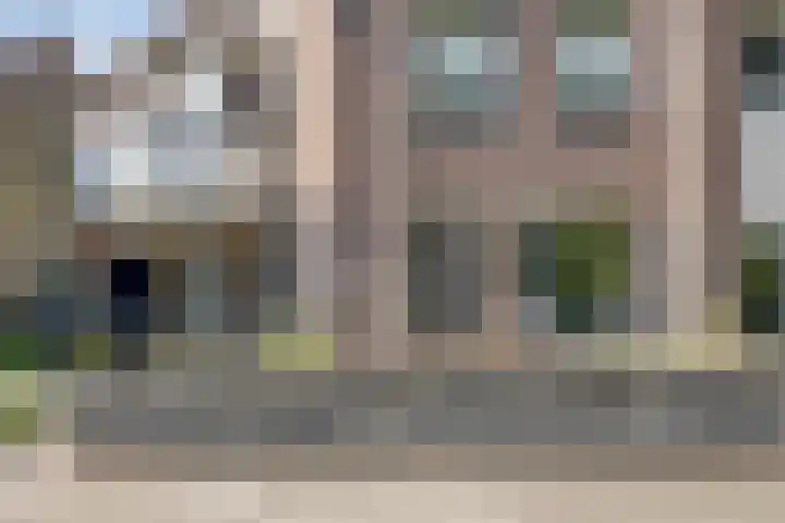 Korhoender 91 Deurne thumbnail 25