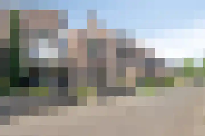 Korhoender 91 Deurne thumbnail 26