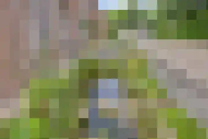 Korhoender 91 Deurne thumbnail 29