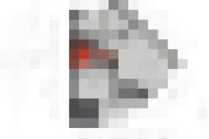 Korhoender 91 Deurne thumbnail 32