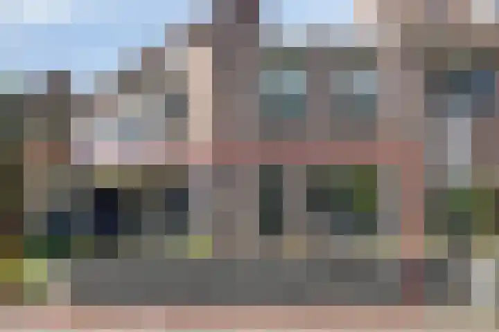 Korhoender 91 Deurne thumbnail 34
