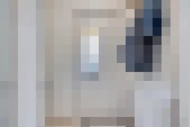 Korhoender 91 Deurne thumbnail 6