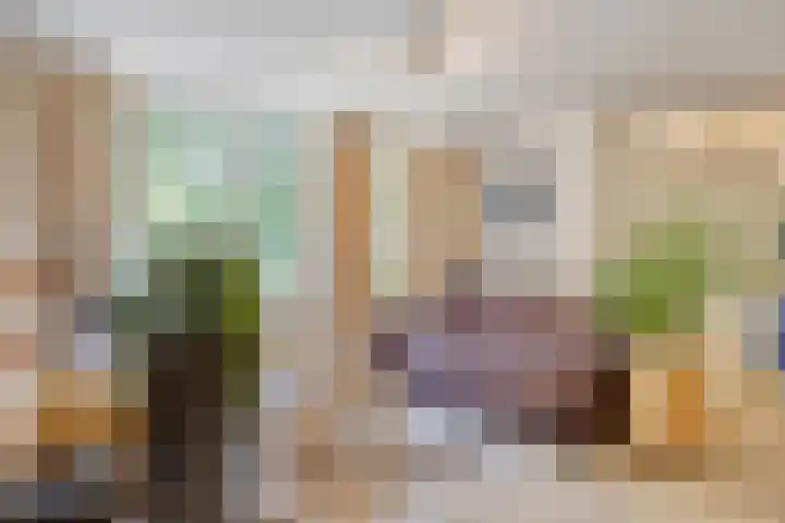 Korhoender 91 Deurne thumbnail 9