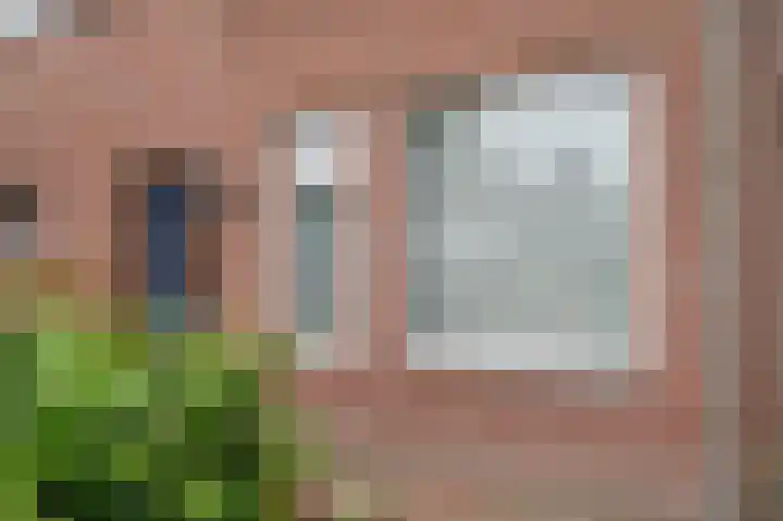 Korhoenderstraat 15 Stevensbeek thumbnail 56
