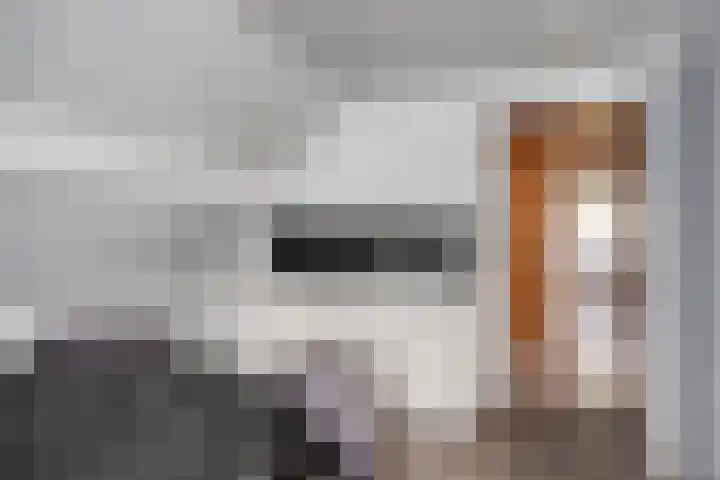 Korhoenderstraat 23 Stevensbeek thumbnail 28