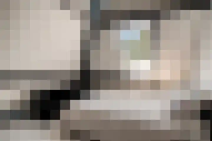 Korhoenderstraat 23 Stevensbeek thumbnail 47