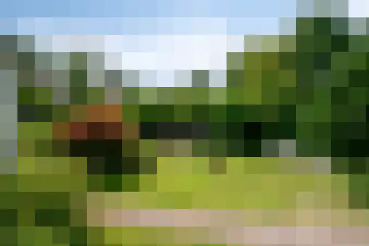 Korhoenderstraat 23 Stevensbeek thumbnail 55