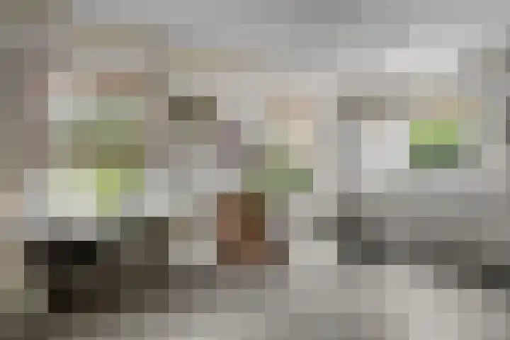 Korhoenderstraat 23 Stevensbeek thumbnail 9