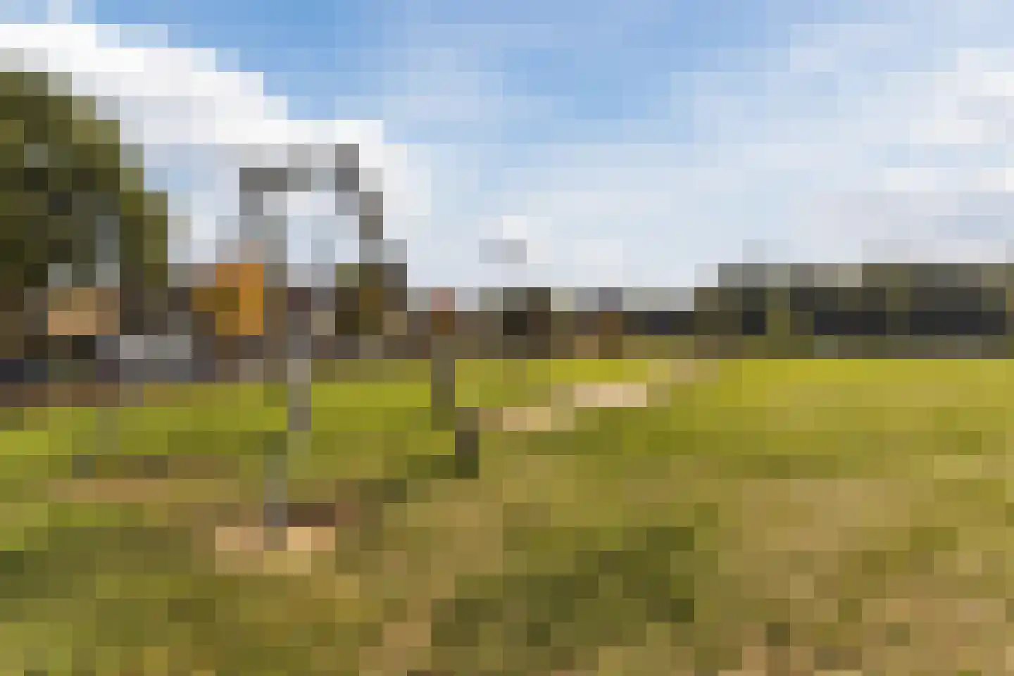 Korhoenderveld 157 Cuijk thumbnail 32