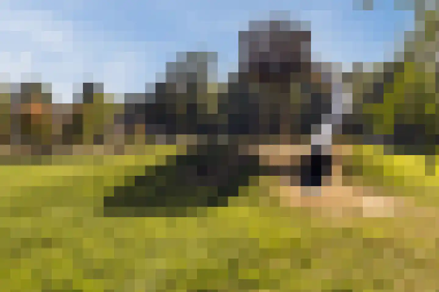 Korhoenderveld 157 Cuijk thumbnail 33