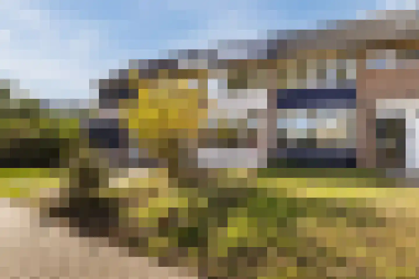 Korhoenderveld 157 Cuijk thumbnail 6