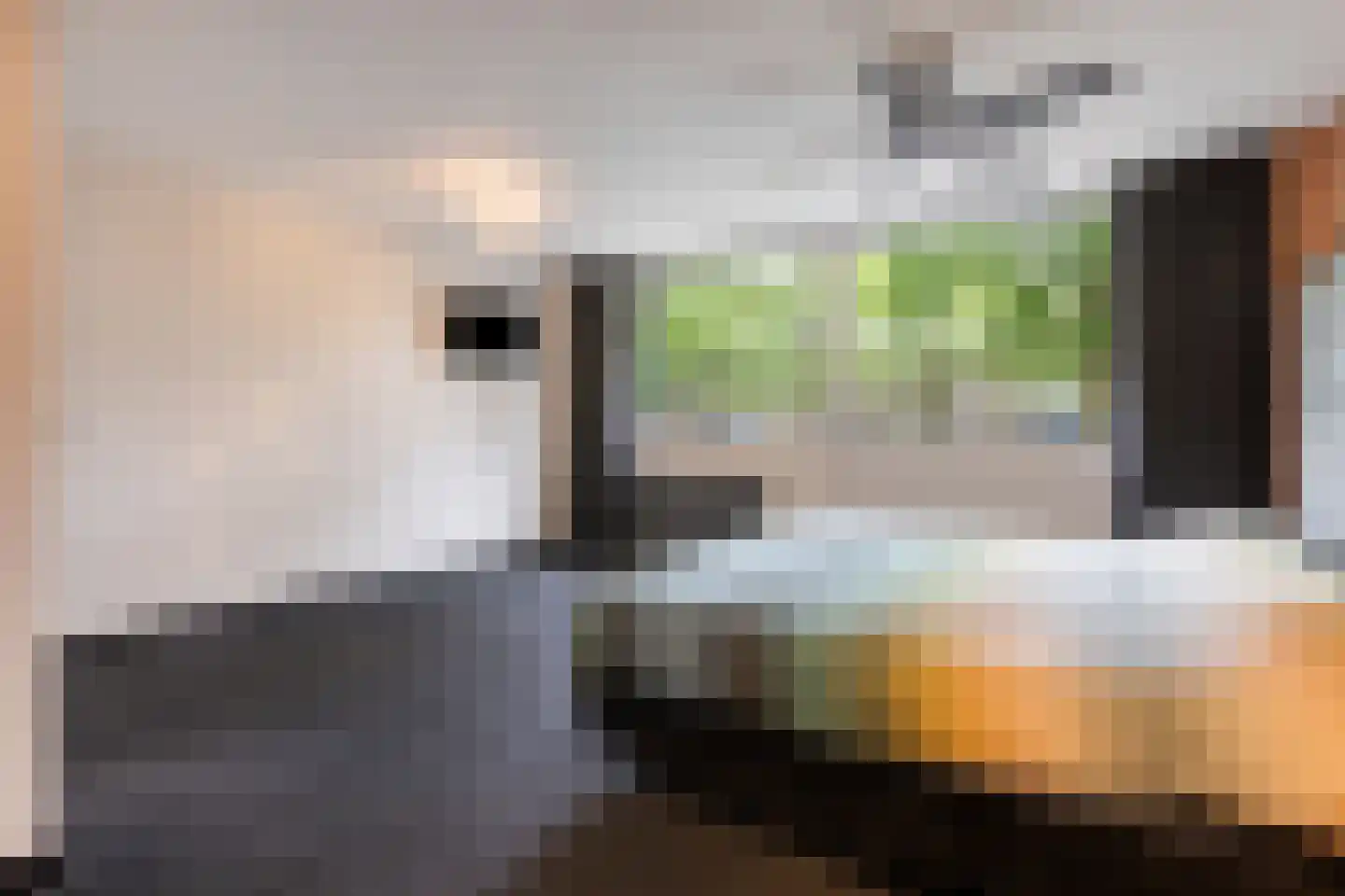Korhoenderveld 19 Cuijk thumbnail 18