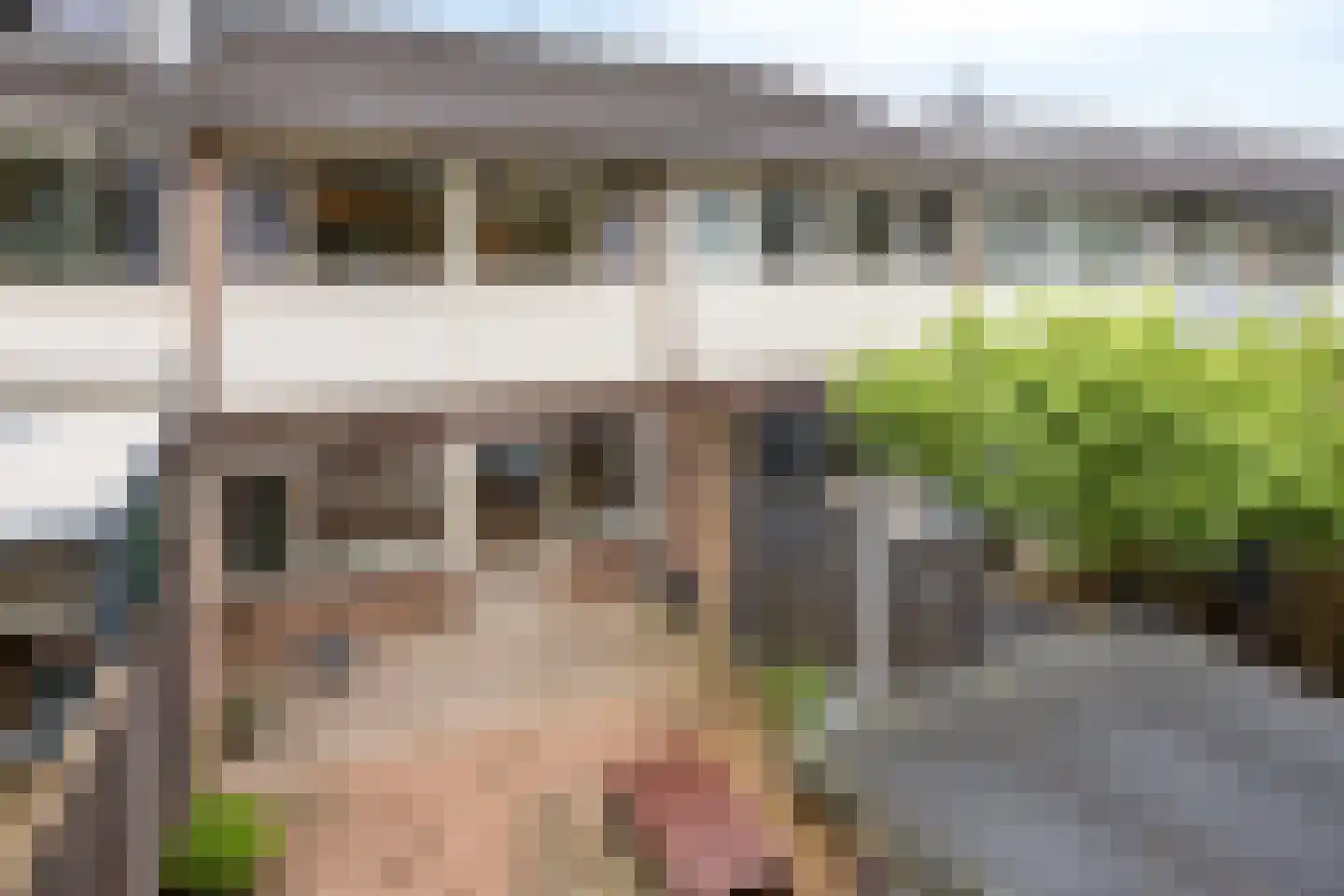 Korhoenderveld 19 Cuijk thumbnail 27