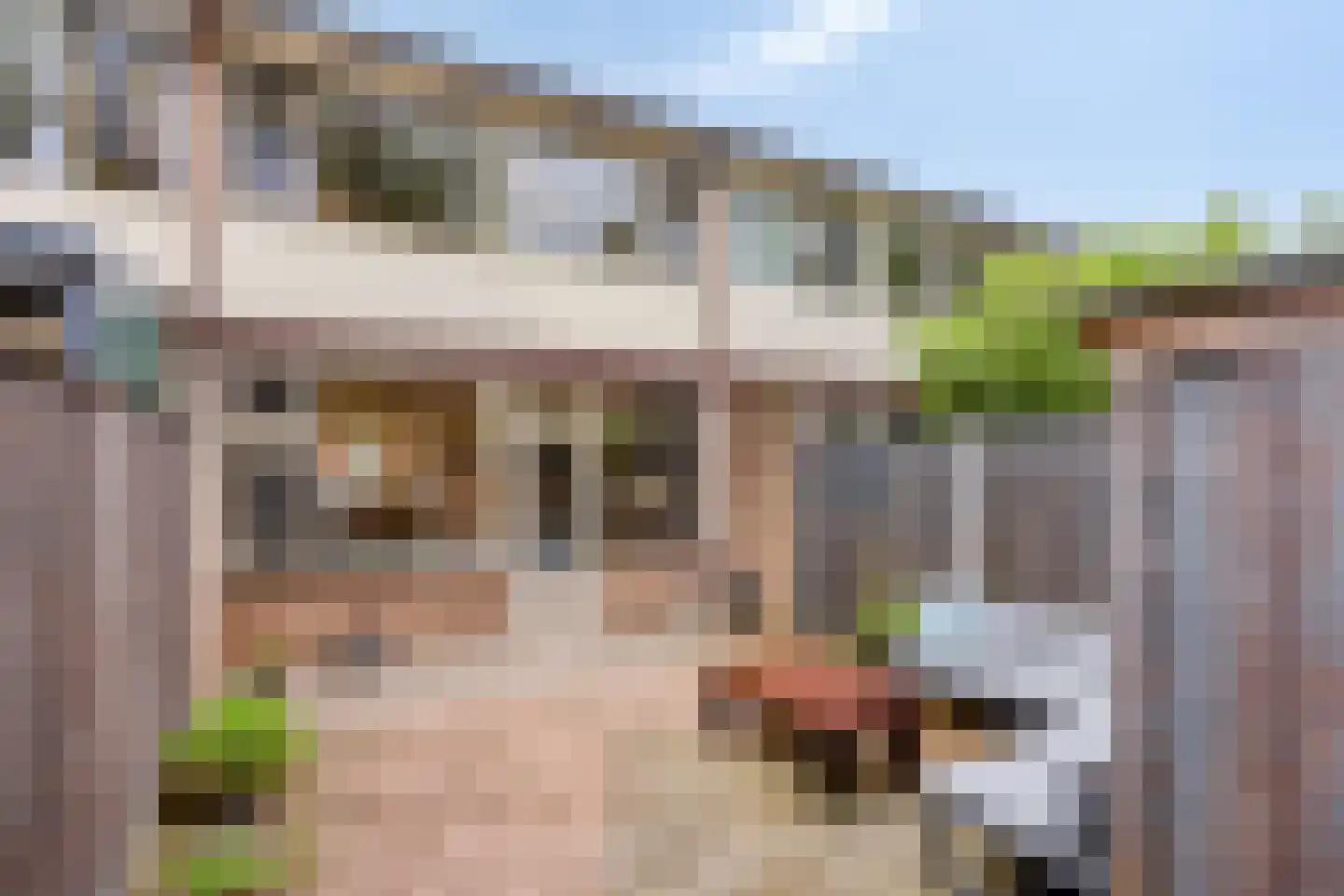 Korhoenderveld 19 Cuijk thumbnail 28