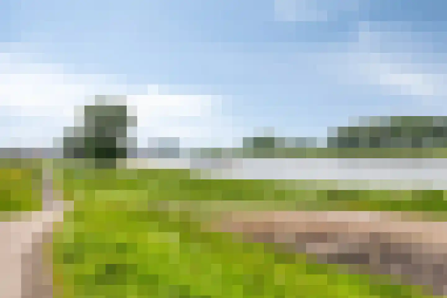 Korhoenderveld 19 Cuijk thumbnail 30
