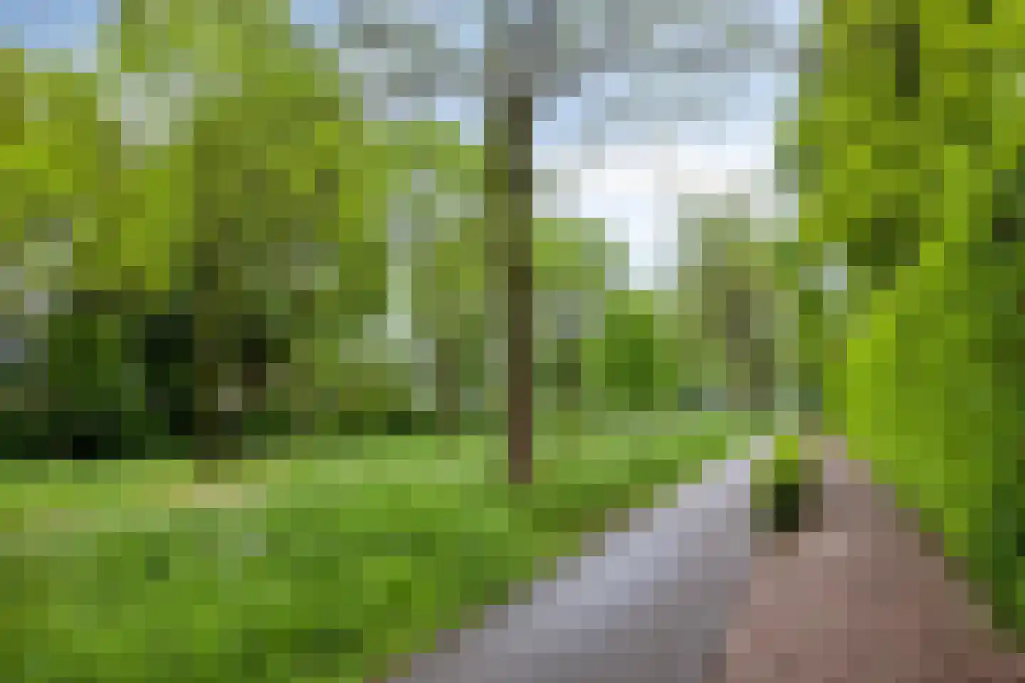 Korhoenderveld 19 Cuijk thumbnail 32