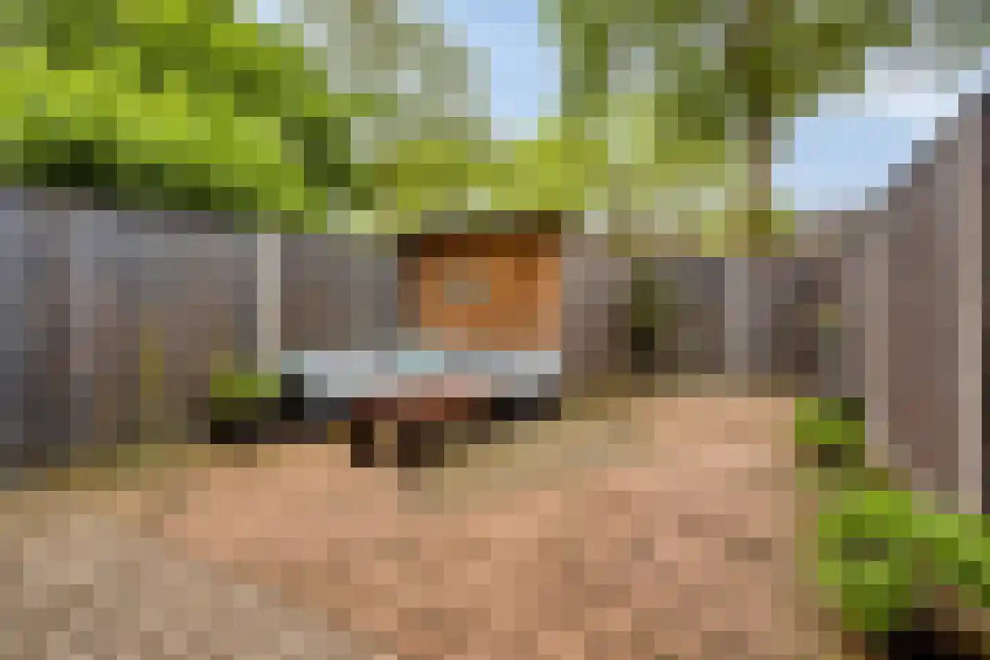 Korhoenderveld 19 Cuijk thumbnail 4