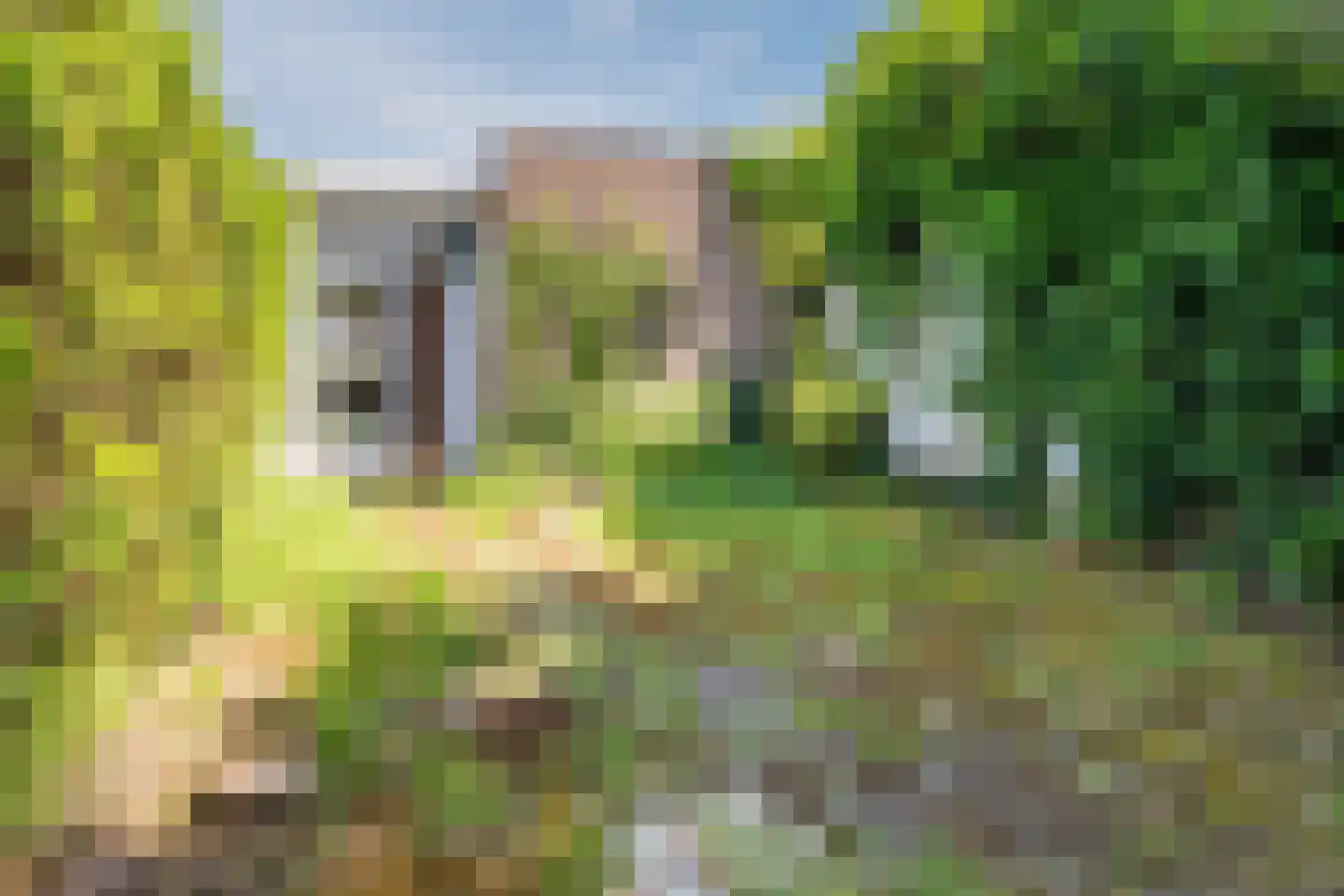 Korhoenderveld 207 Cuijk thumbnail 10