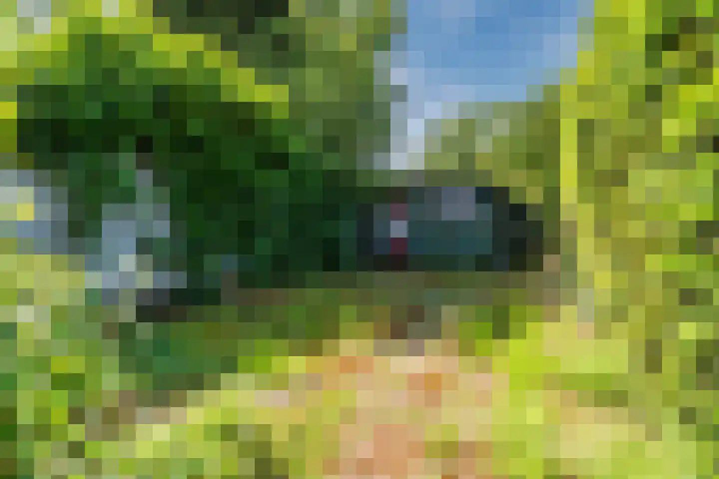 Korhoenderveld 207 Cuijk thumbnail 9