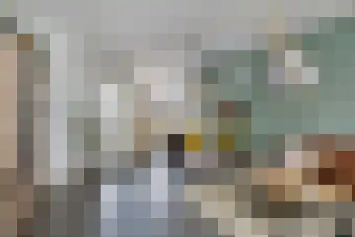 Korhoenderveld 21 Cuijk thumbnail 16