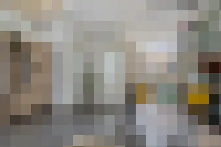 Korhoenderveld 21 Cuijk thumbnail 17