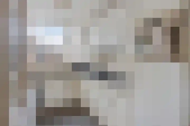 Korhoenderveld 21 Cuijk thumbnail 18