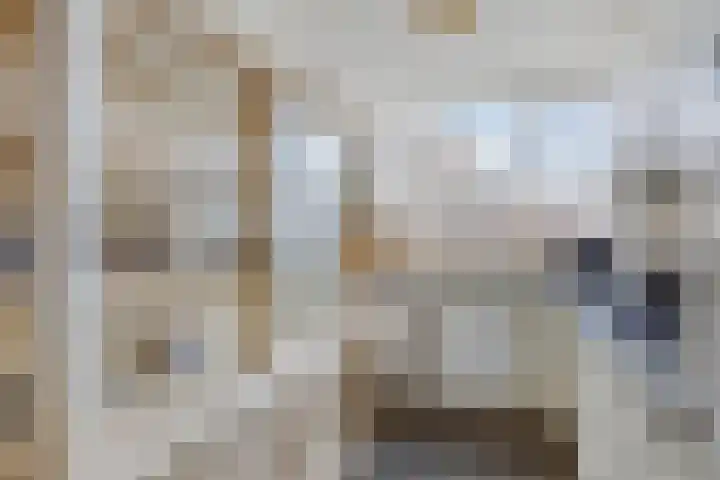 Korhoenderveld 21 Cuijk thumbnail 19