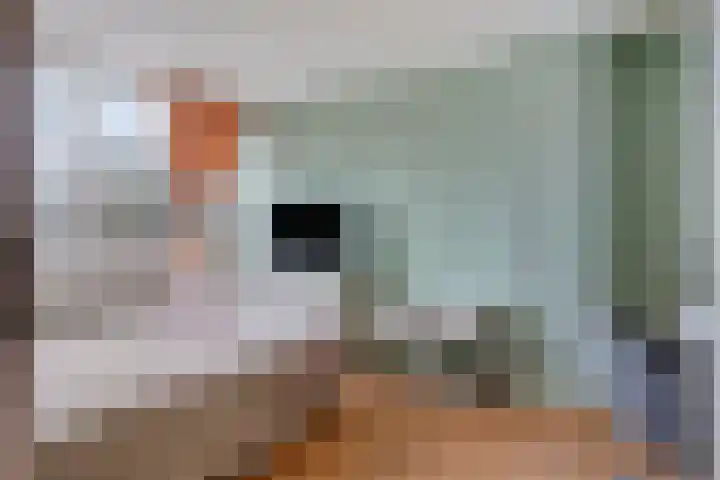 Korhoenderveld 21 Cuijk thumbnail 22