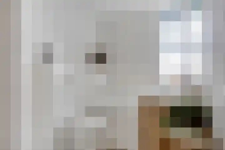 Korhoenderveld 21 Cuijk thumbnail 25