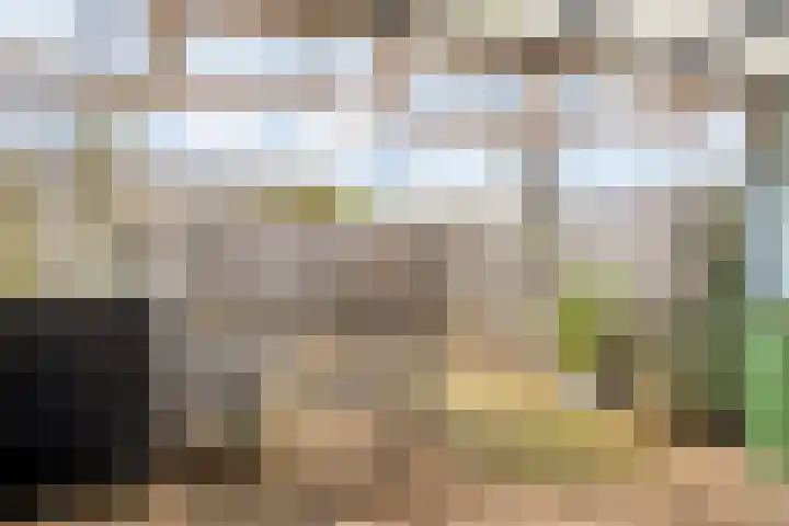 Korhoenderveld 21 Cuijk thumbnail 37